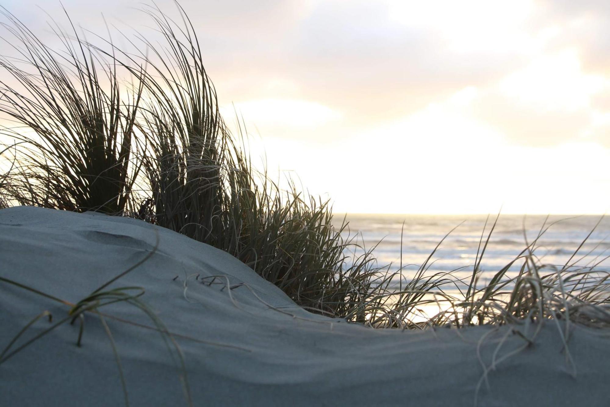 Foxton Beach Holiday Park Buitenkant foto